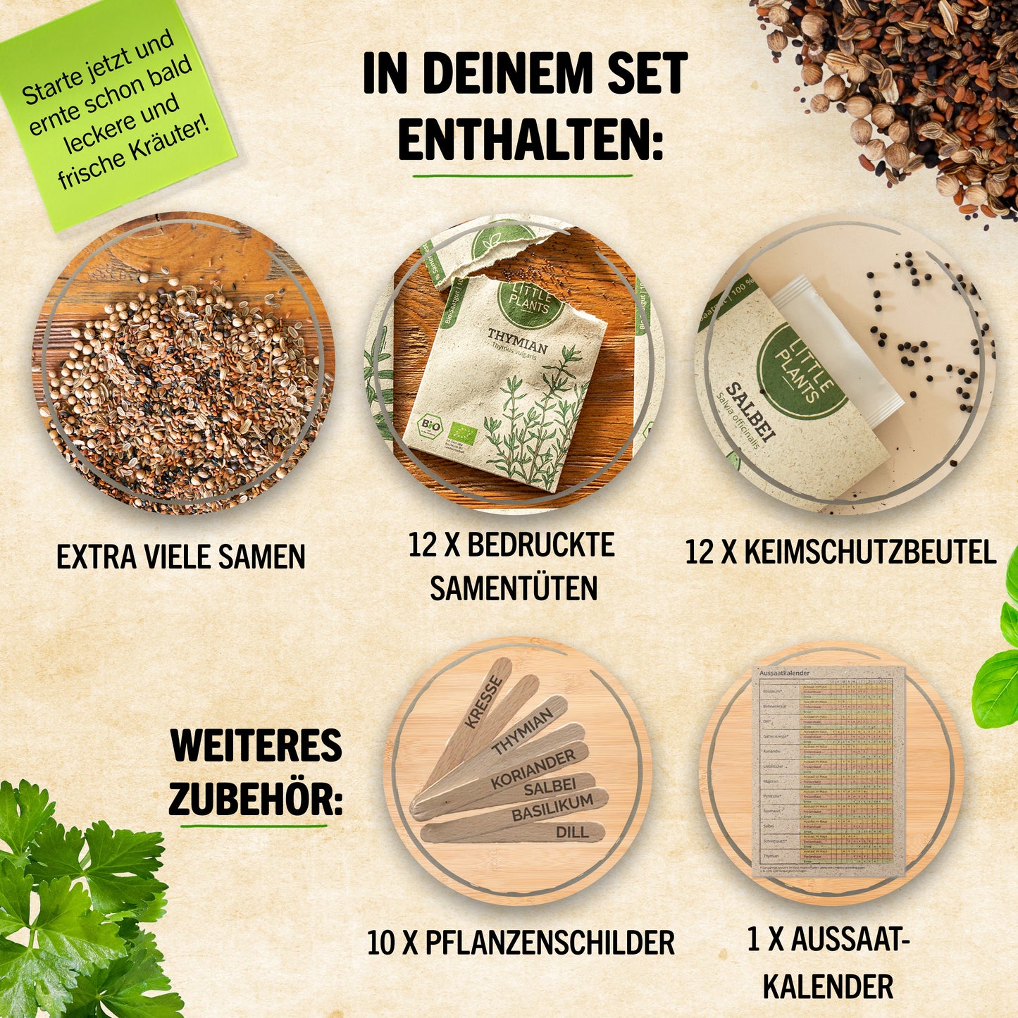 Bio-Gemüsesamen Set mit 12 Sorten