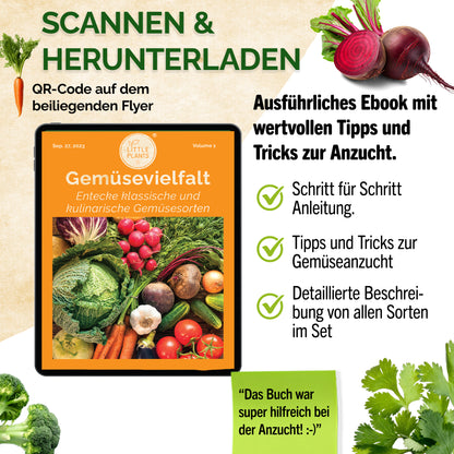 Bio-Gemüsesamen Set mit 12 Sorten