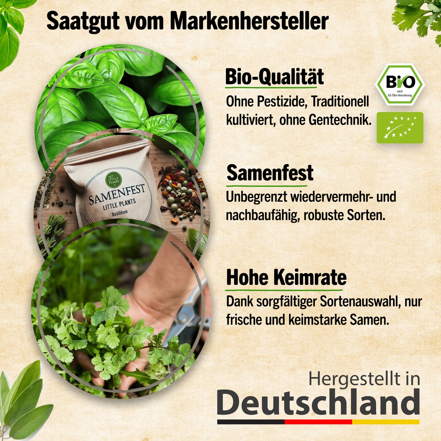 Bio-Gemüsesamen Set mit 12 Sorten