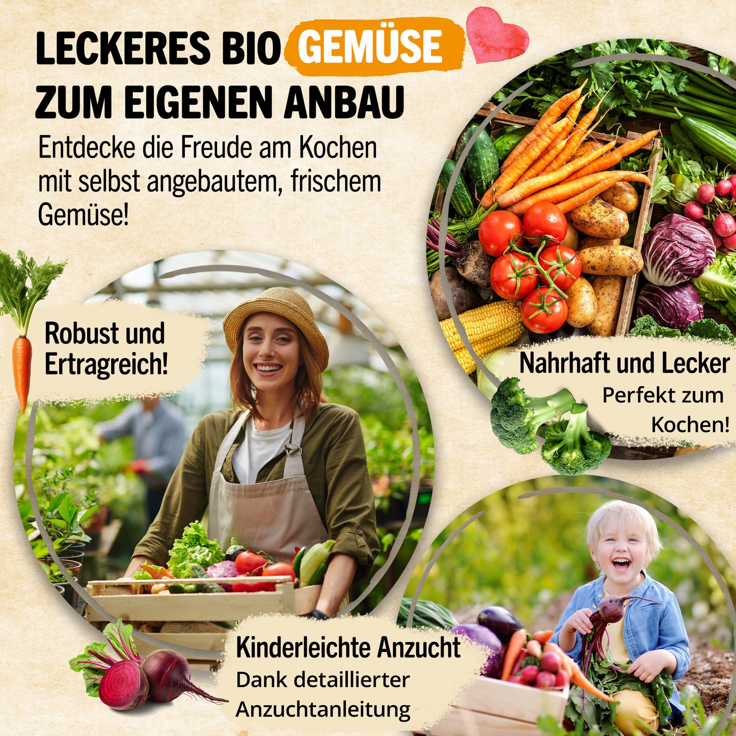 Bio-Gemüsesamen Set mit 12 Sorten