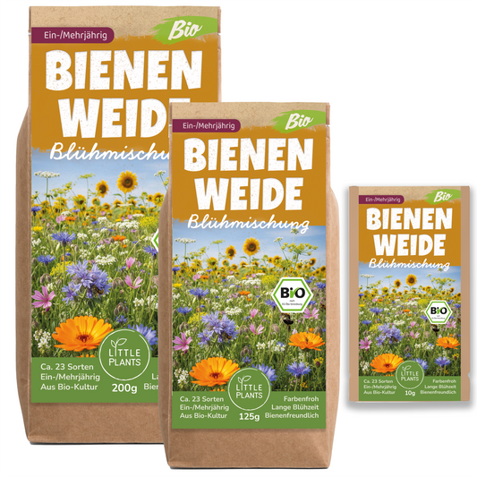 Bio Bienenweide Blühmischung Bienenweide (Mehrjährig)