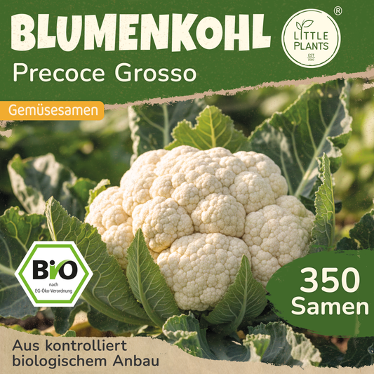Bio-Blumenkohl (Grosso)