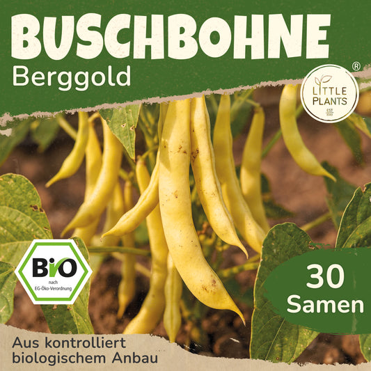 Bio-Buschbohne (Berggold)