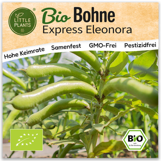 Bio-Bohne (Express Eleonora)