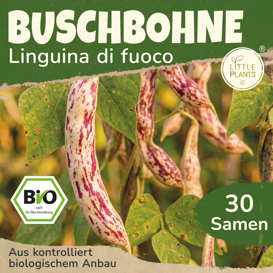 Bio-Buschbohne (Lingua di fuoco)