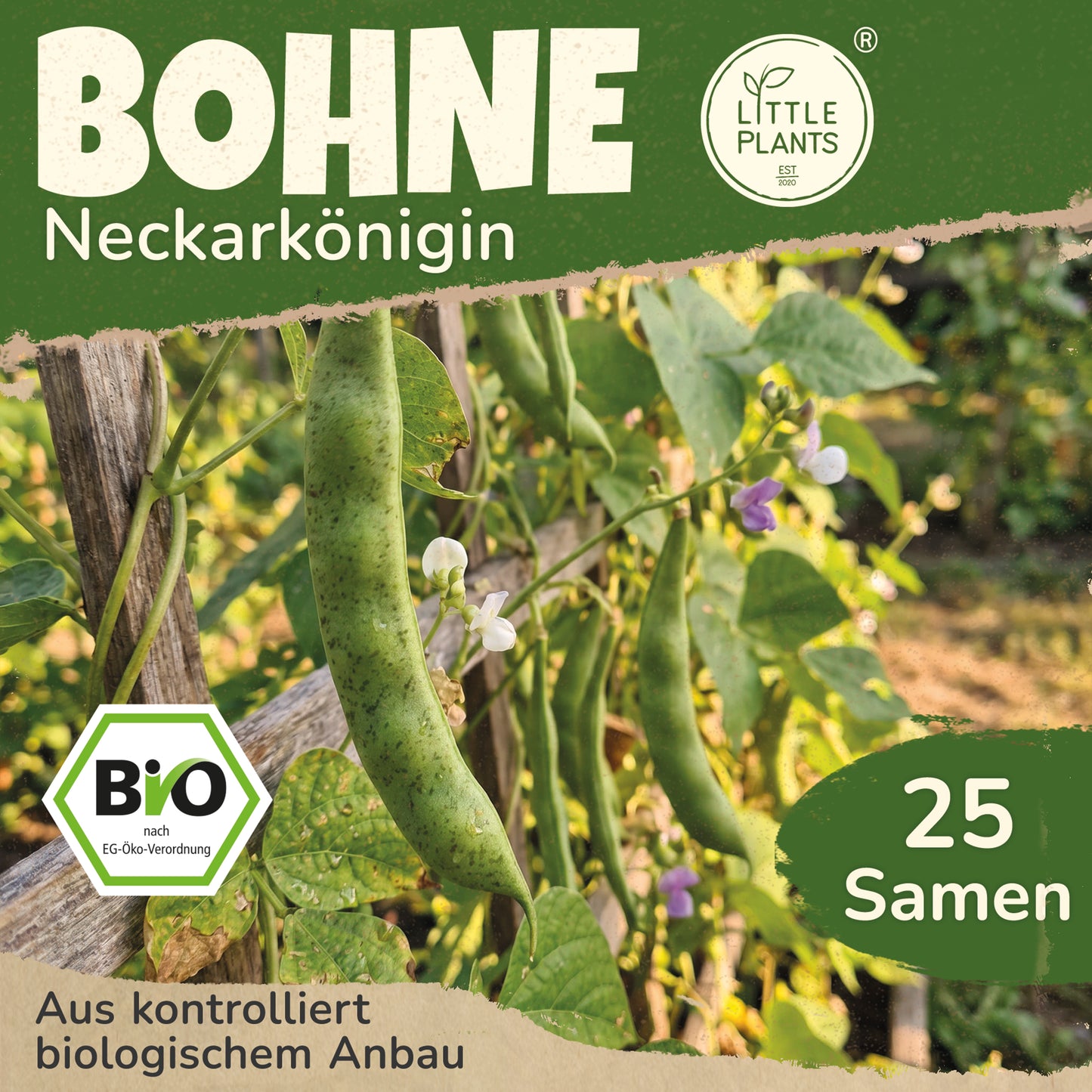 Bio-Stangenbohne (Neckarkönigin)