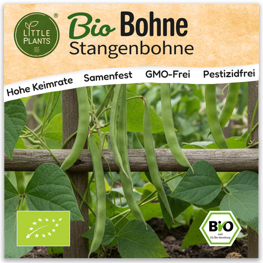 Bio-Bohne (Stangenbohne)