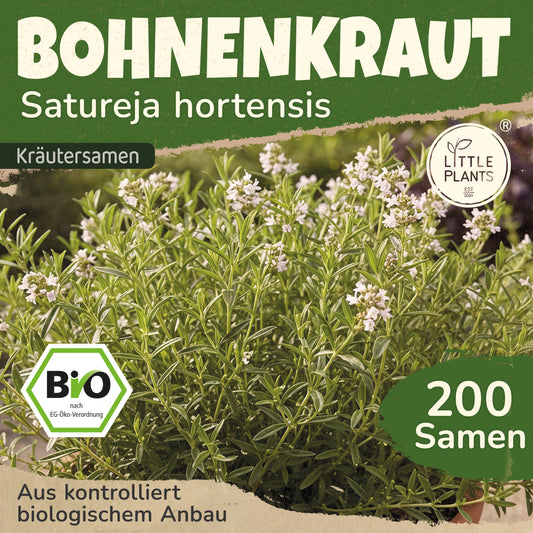 Bio-Bohnenkraut (Sommerbohnenkraut)