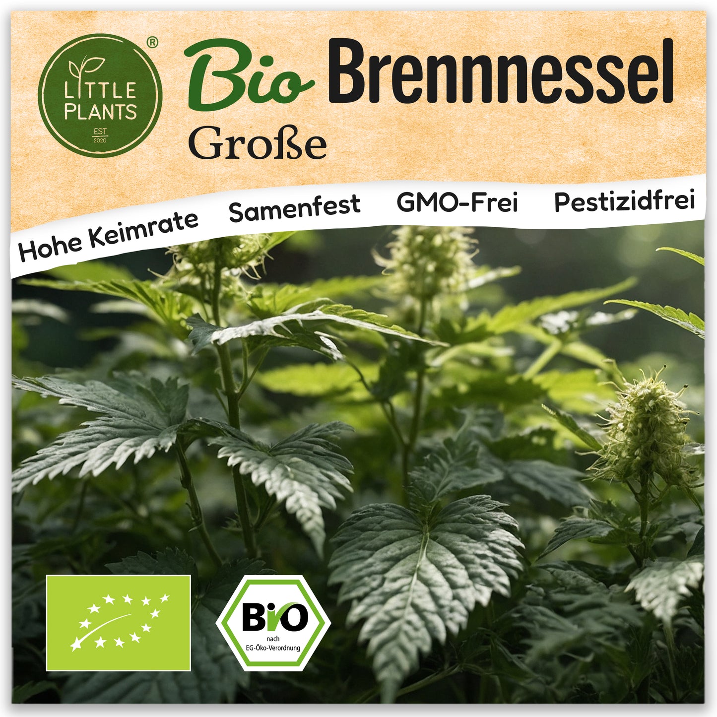 Bio-Brennnessel (Große)