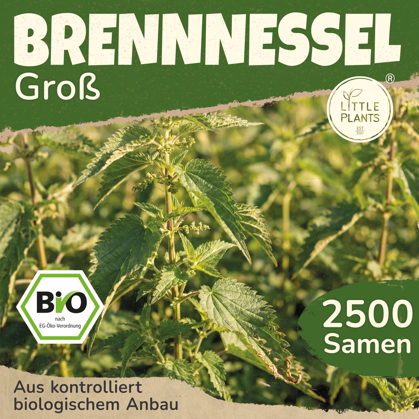 Bio-Brennnessel (Große)