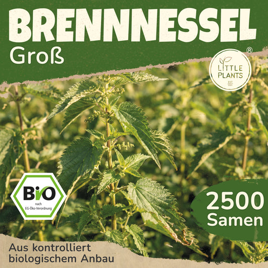 Bio-Brennnessel (Große)