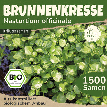 Bio-Brunnenkresse