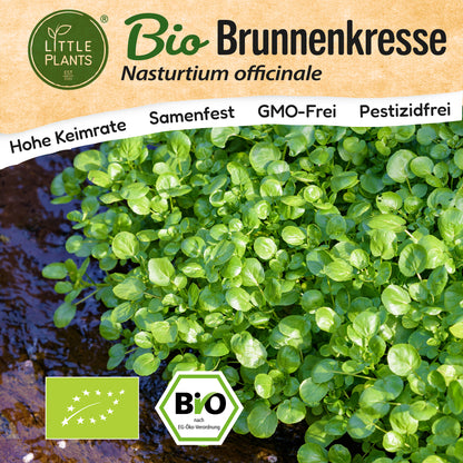 Bio-Brunnenkresse