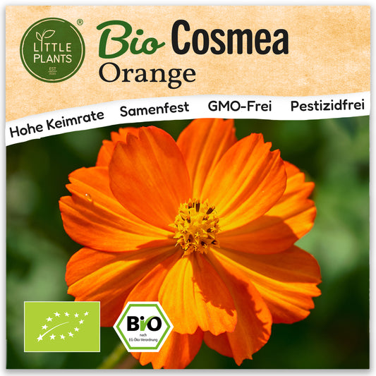 Bio-Cosmea (Orange)
