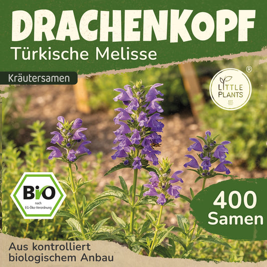 Bio-Drachenkopf (Türkische Melisse)