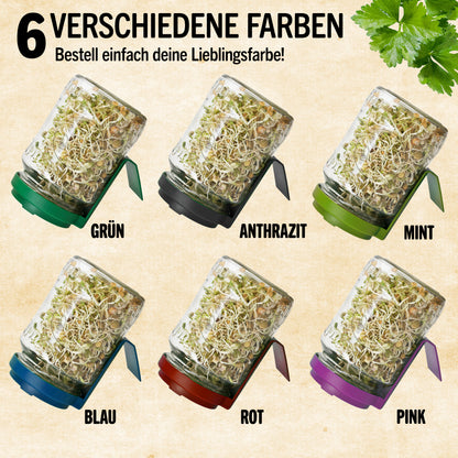 Keimglas Set mit 6 Sorten Bio Sprossen in 6 verschiedenen Farben