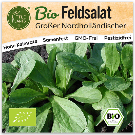 Bio-Feldsalat (Grote Noordhollandse)