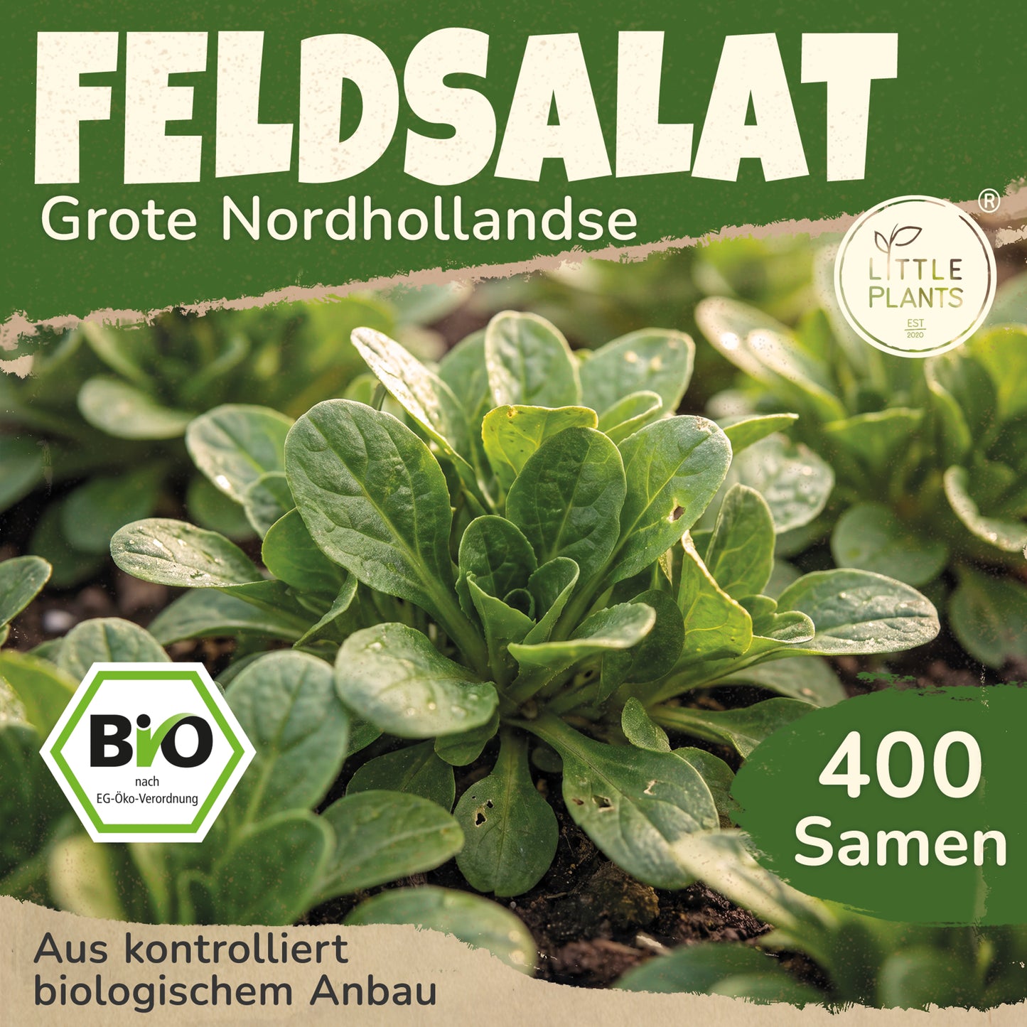 Bio-Feldsalat (Grote Noordhollandse)