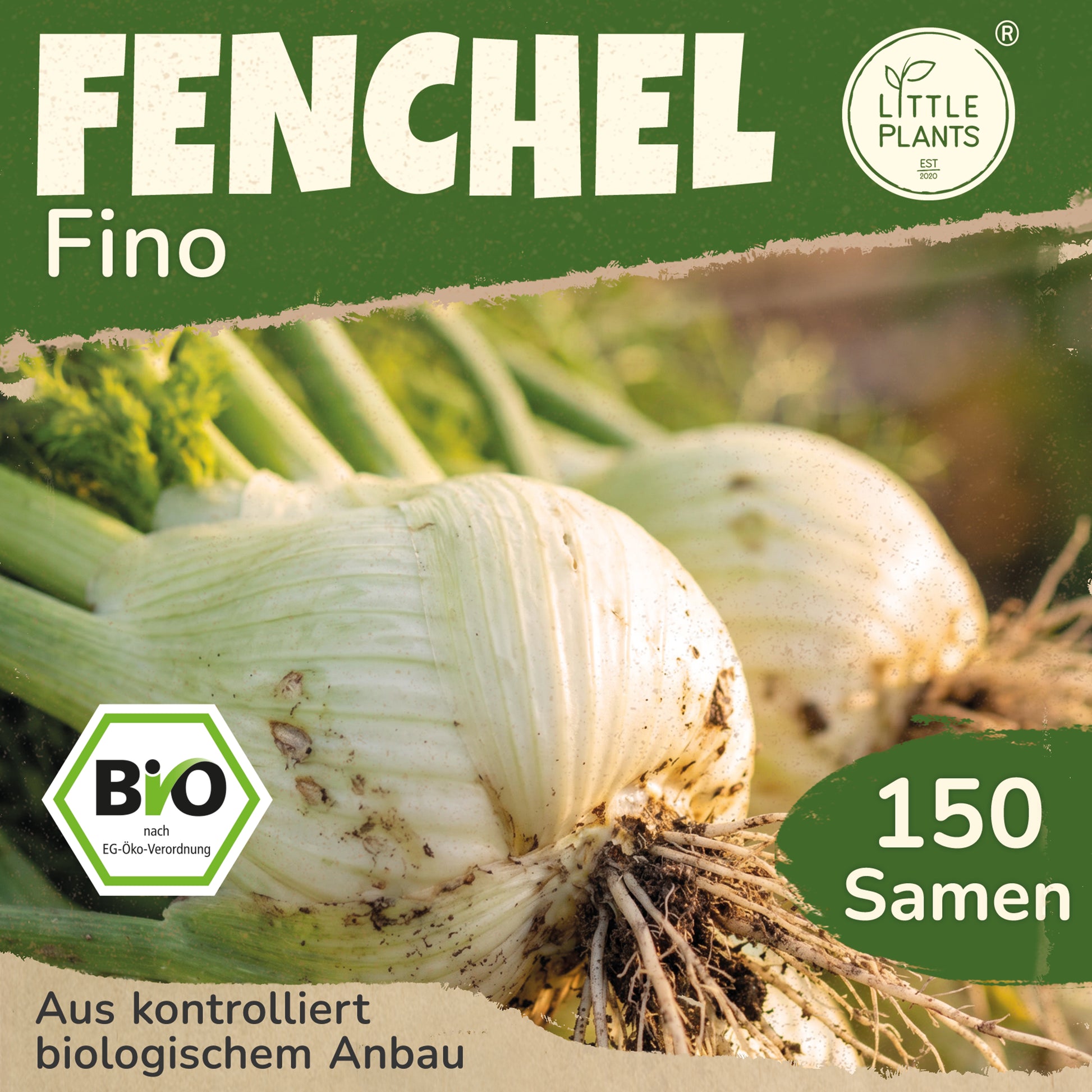 Bio-Fenchel (Fino) – Little Plants