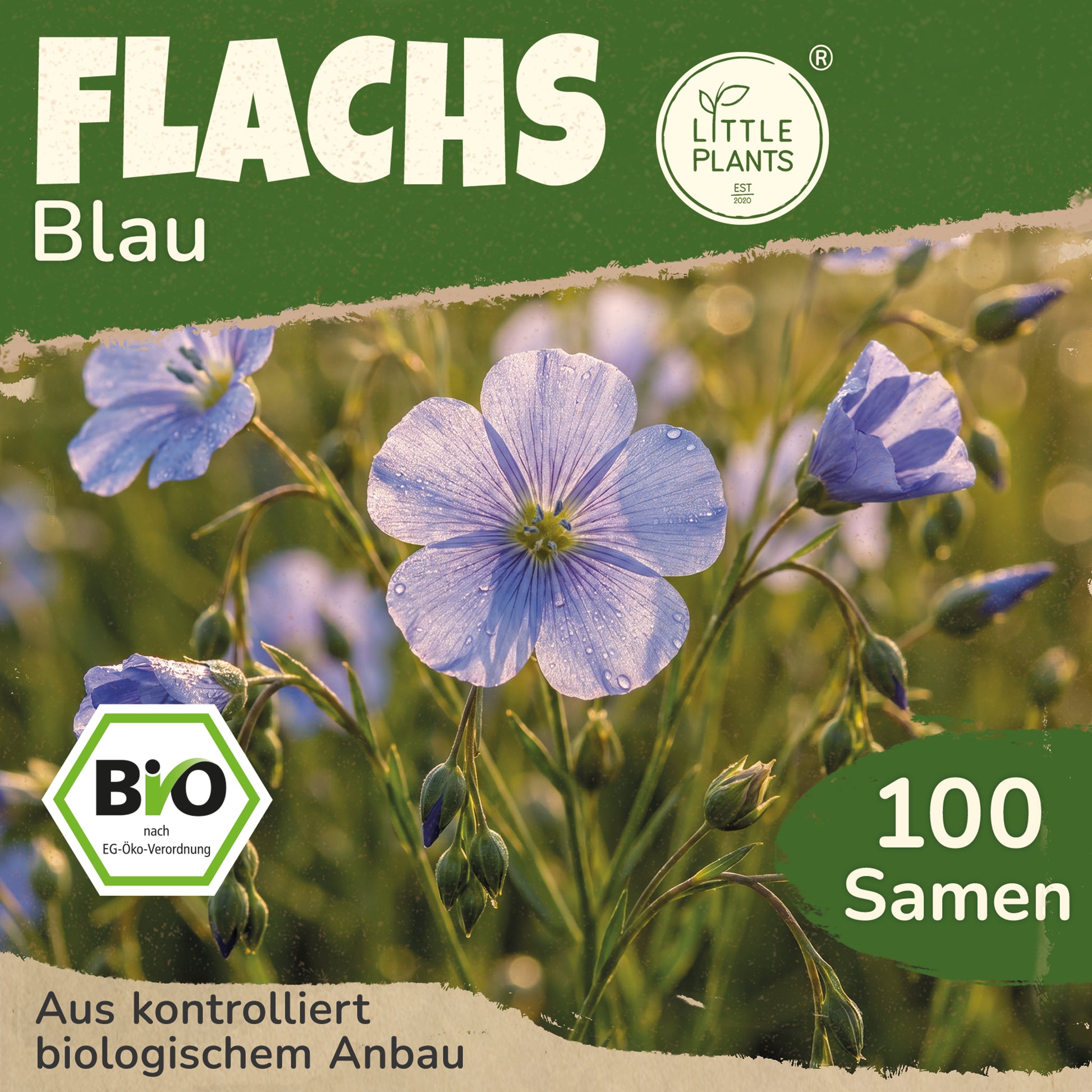 flachs saatgut Bio-Flachs (Blau) – Little Plants