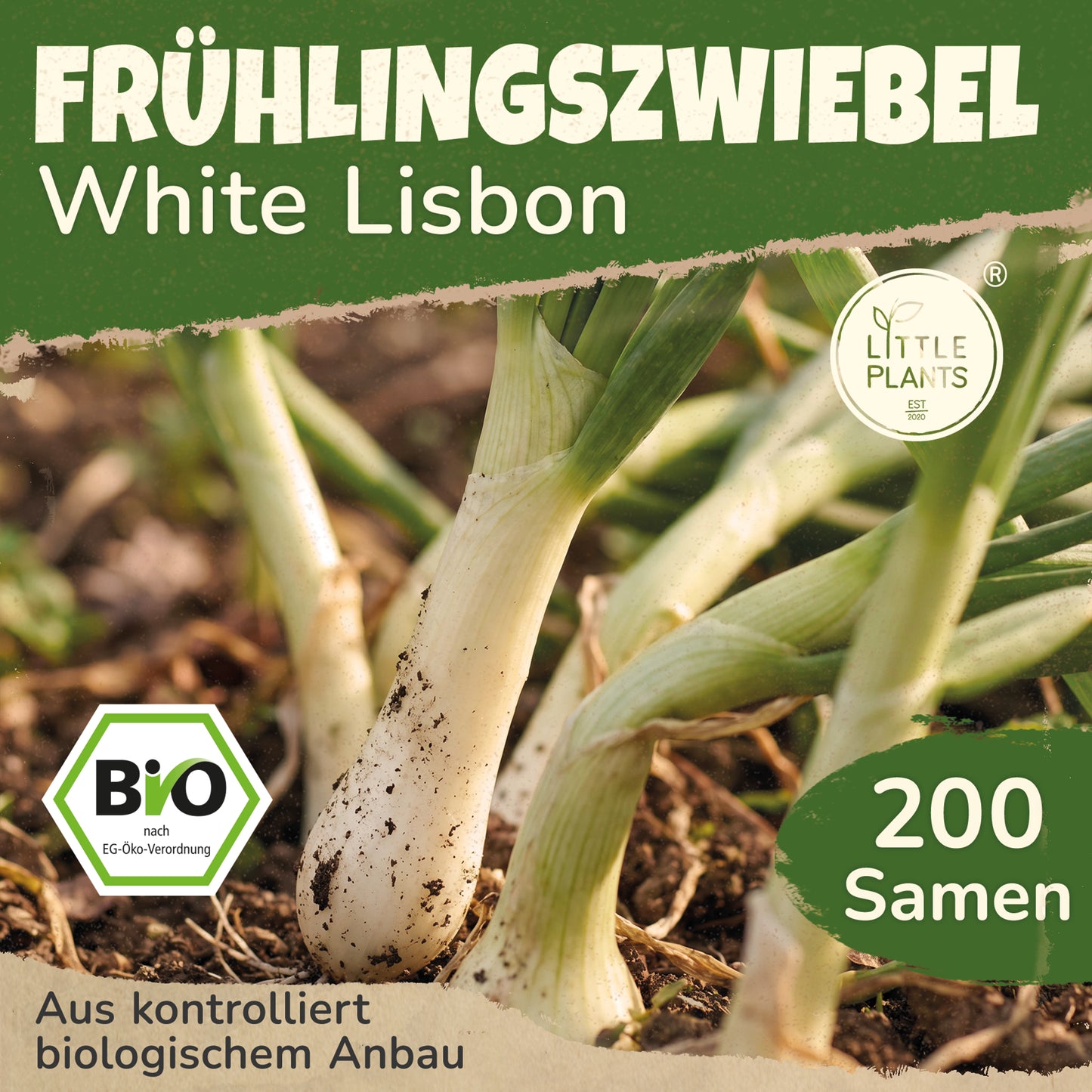 Bio-Frühlingszwiebel (White Lisbon)