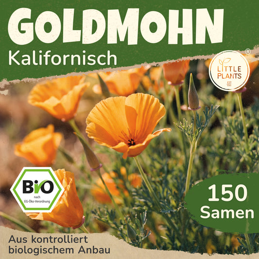 Bio-Goldmohn (Kalifornischer Mohn)