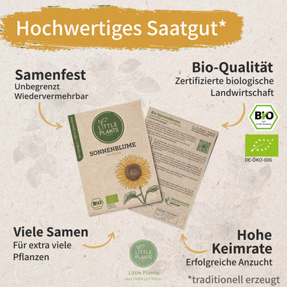 Saatgut-Beutel Blumen Sonnenblume Großblütig 30 Pflanzen