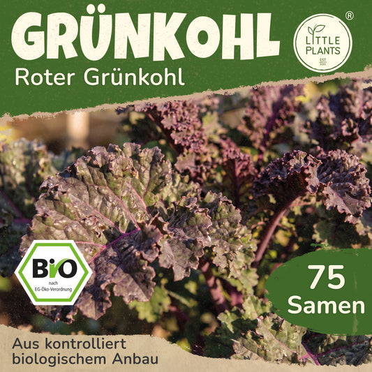 Bio-Grünkohl (Rot)