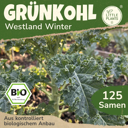 Bio-Grünkohl (Westland winter)