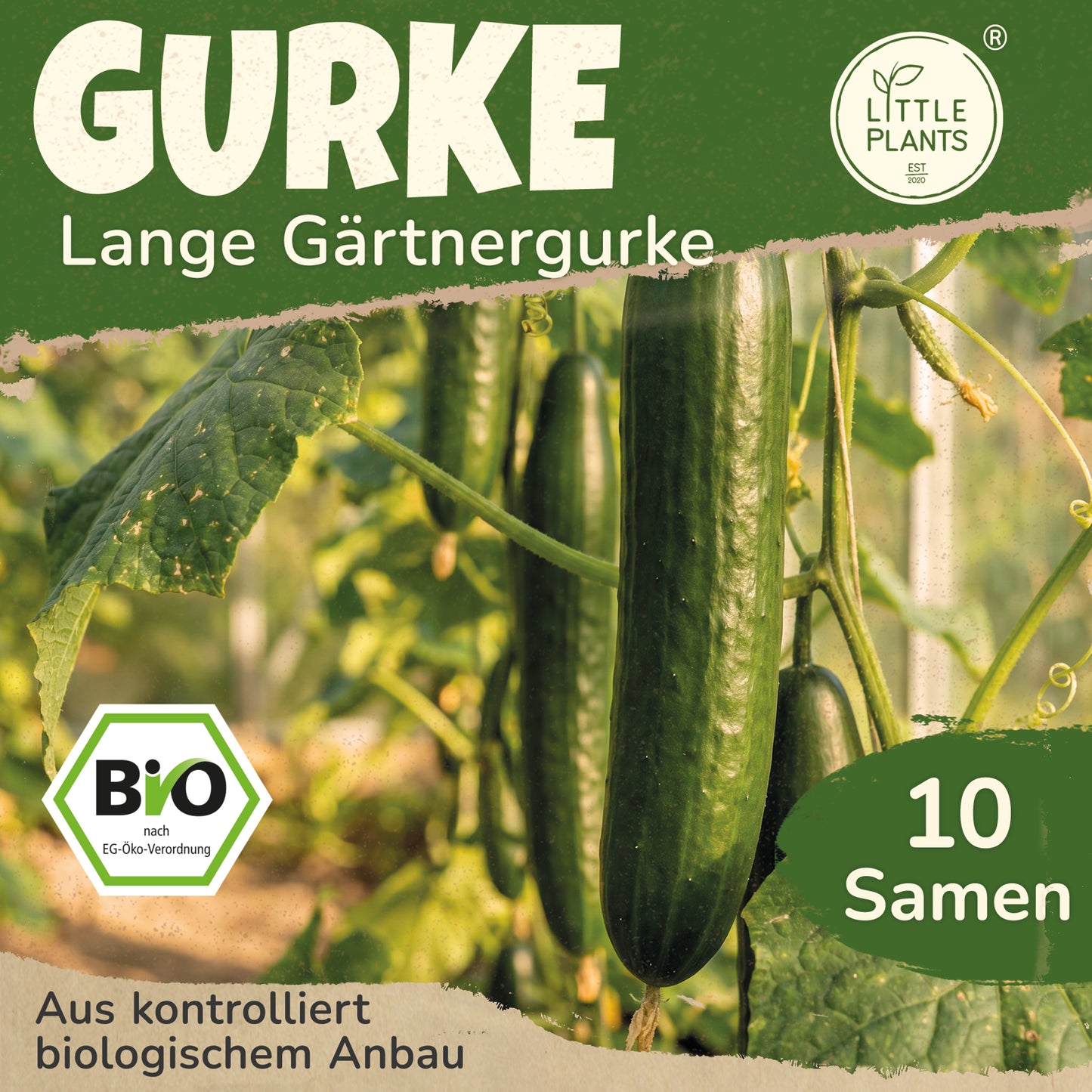 Bio-Gurke (Lange Gärtnergurke)