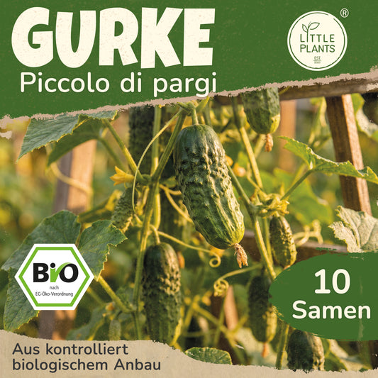 Bio-Gurke (Piccolo)