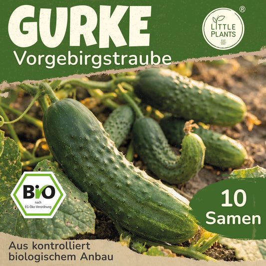 Bio-Gurke (Vorgebirgstraube)