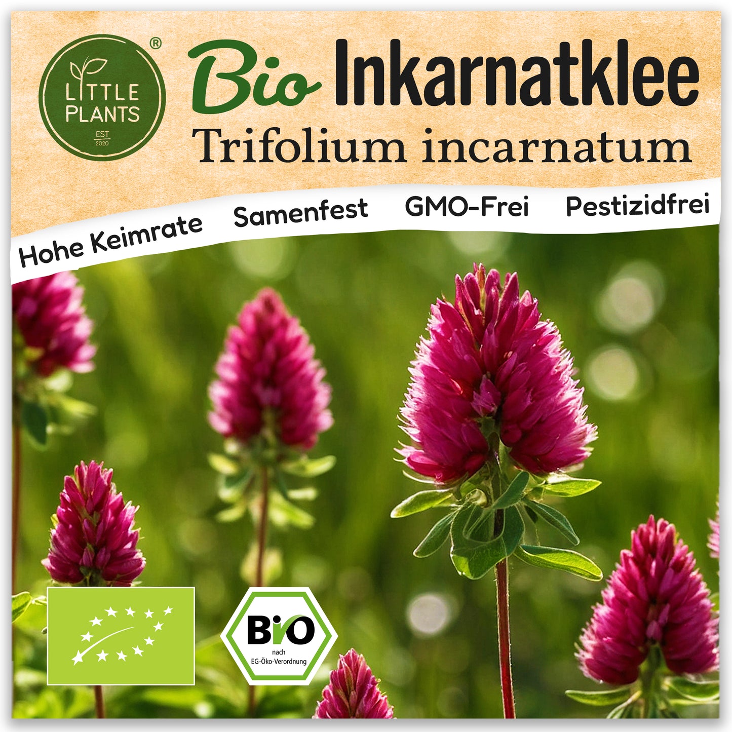 Bio-Inkarnatklee