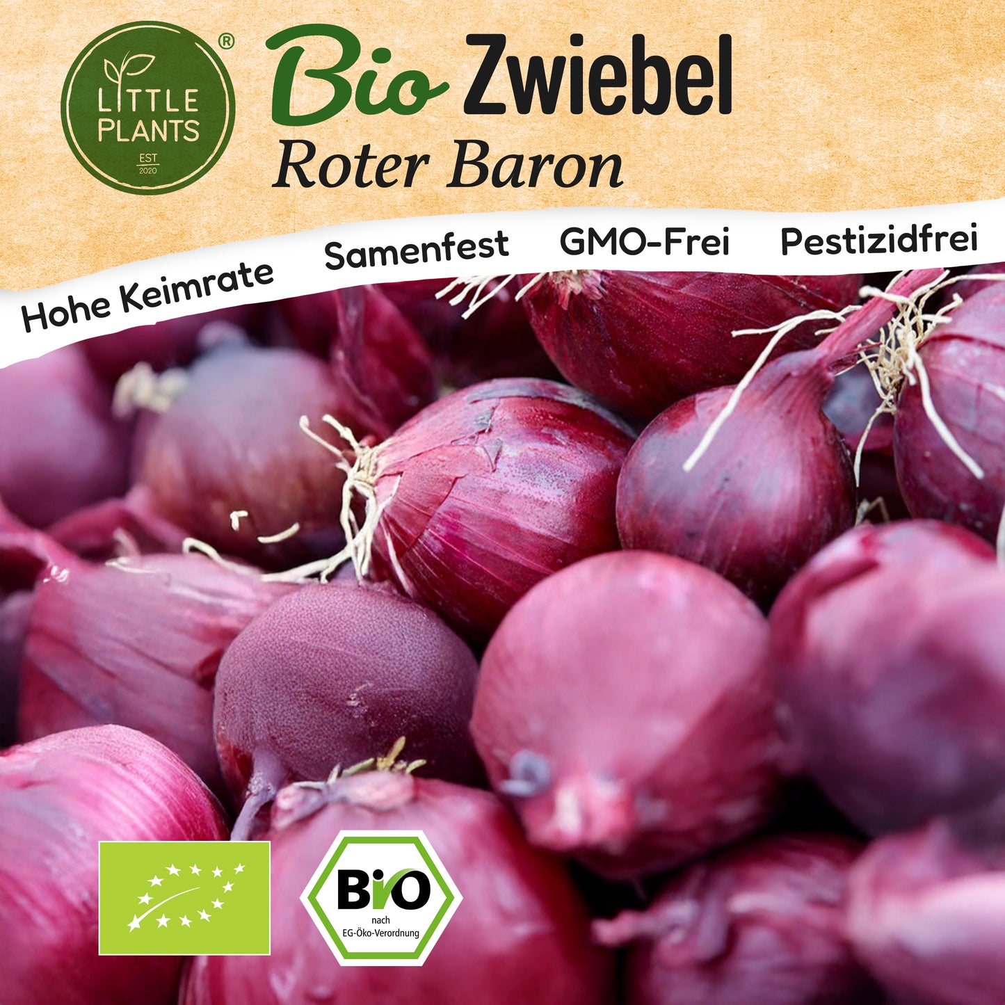 Bio-Zwiebel (Roter Baron)