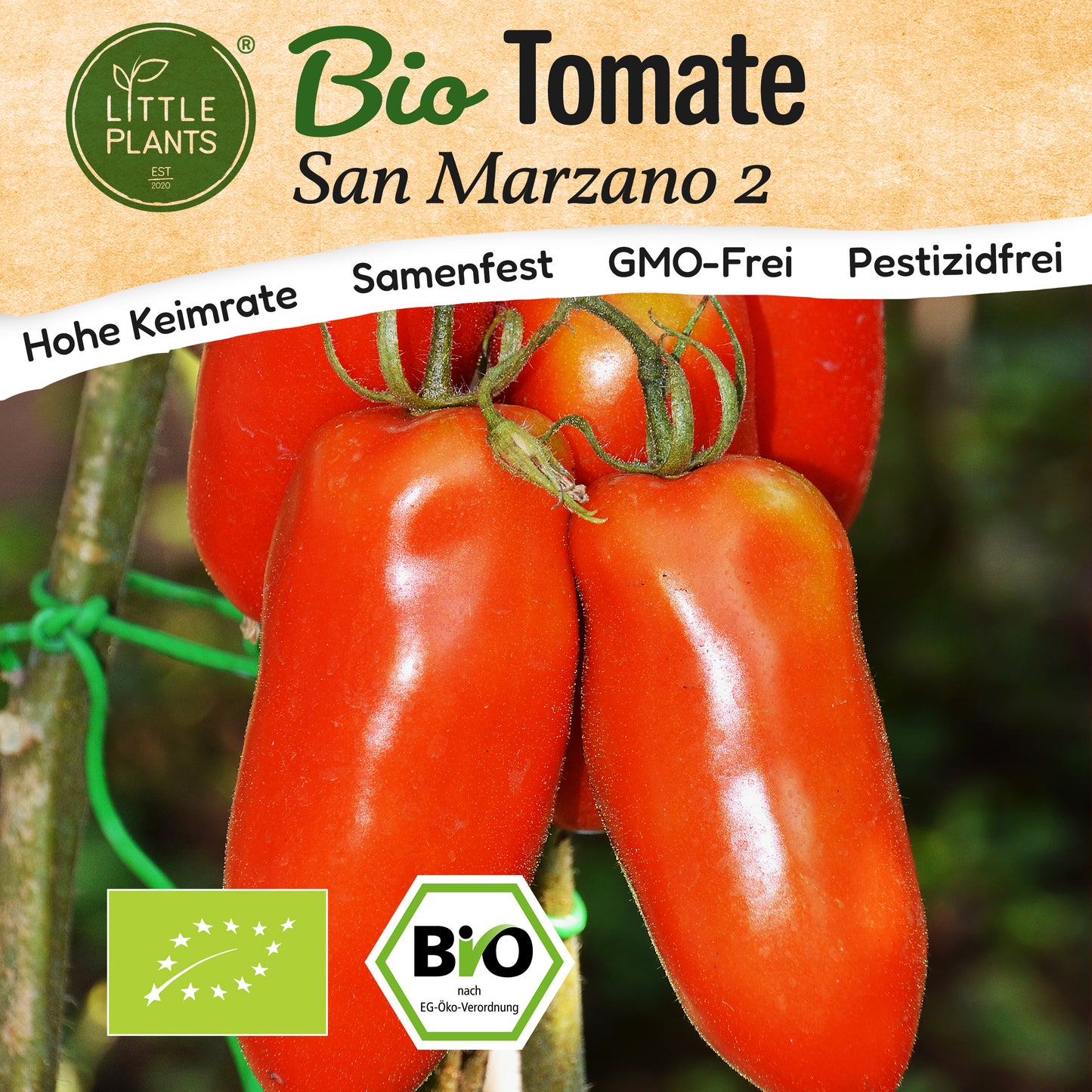 Bio-Tomate (San Marzano 2)