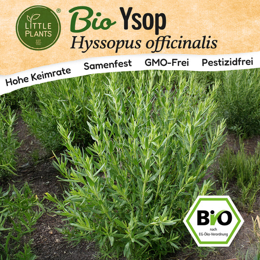 Bio-Ysop