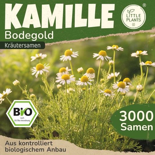Bio-Kamille (Bodegold)