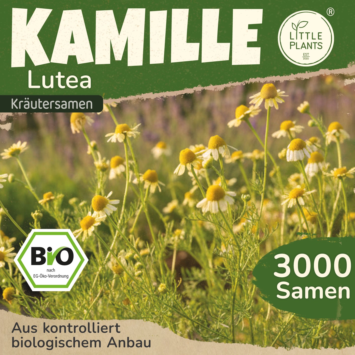 Bio-Kamille (Lutea)