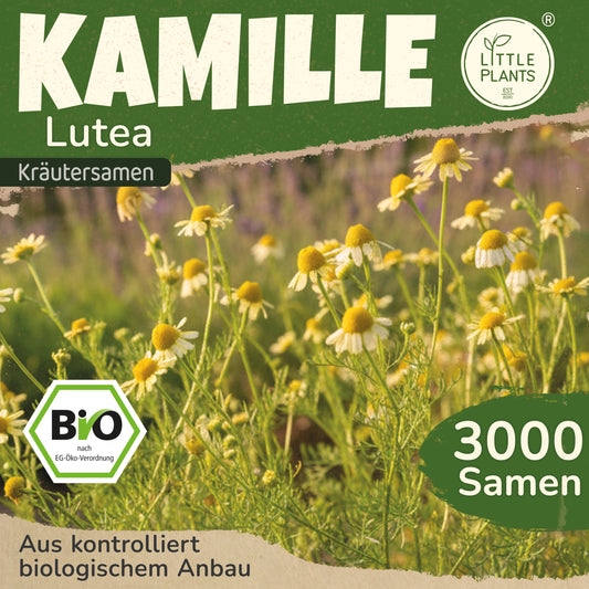 Bio-Kamille (Lutea)