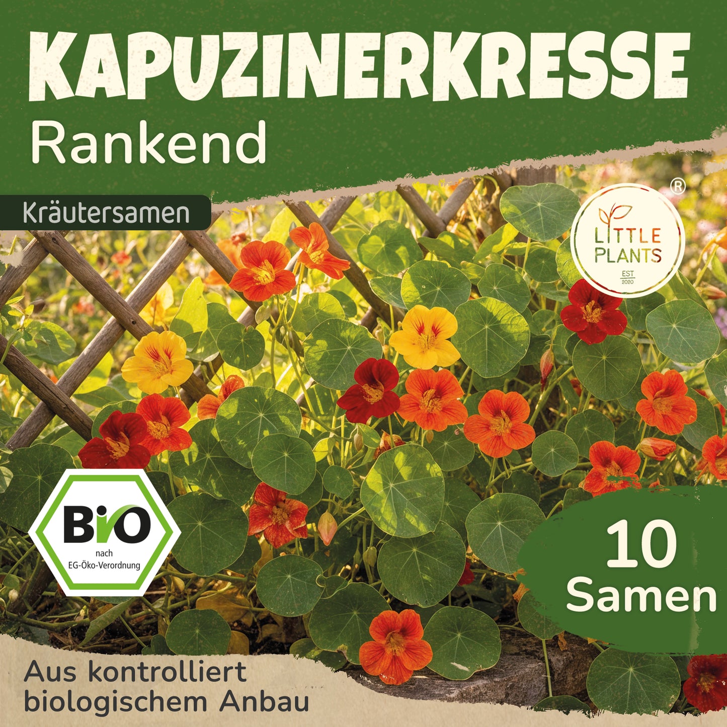 Bio-Kapuzinerkresse (rankend)
