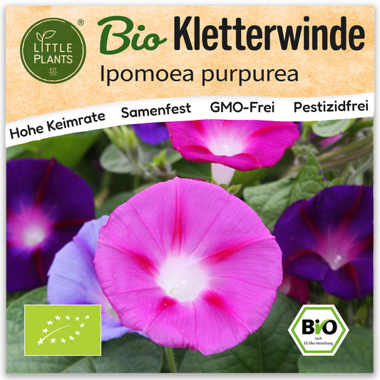 Bio-Kletterwinde