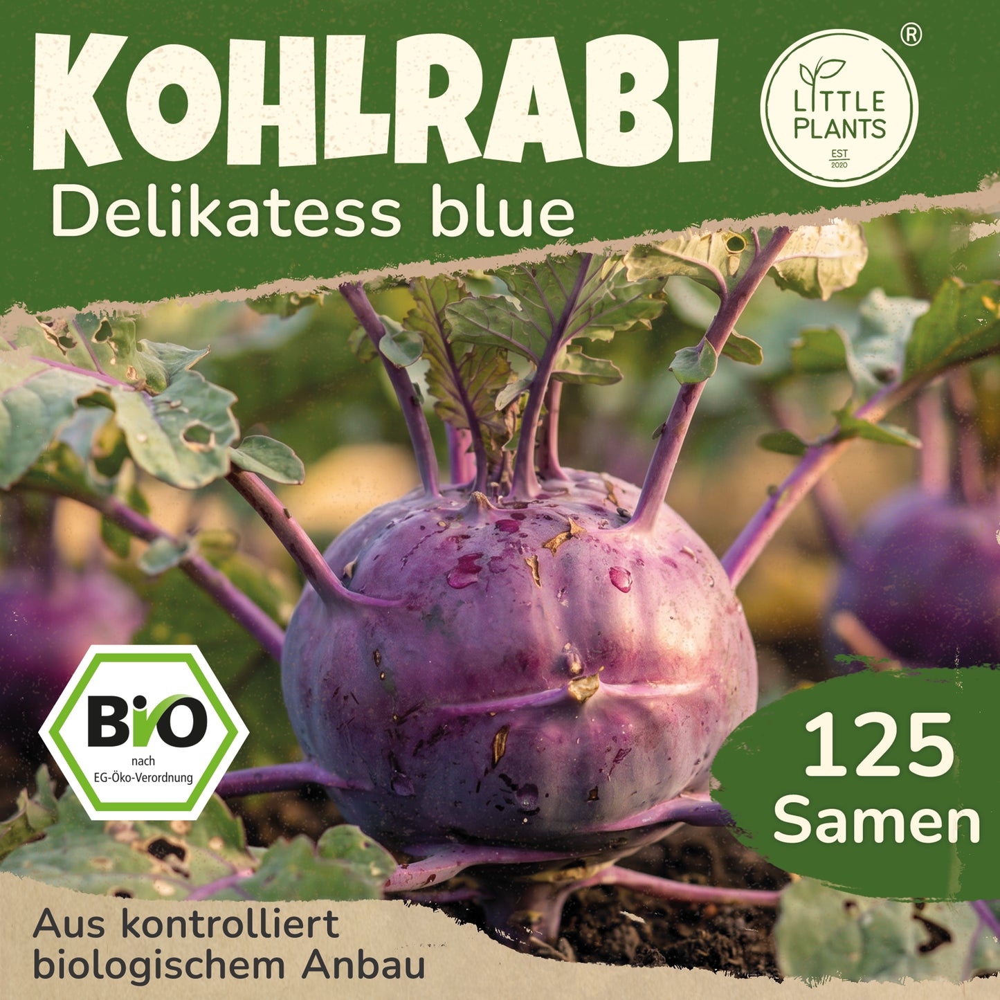 Bio-Kohlrabi (Delicatess blue)