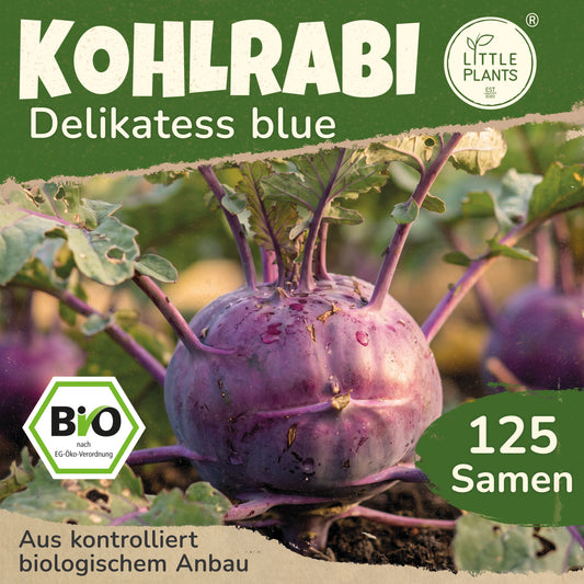 Bio-Kohlrabi (Delicatess blue)
