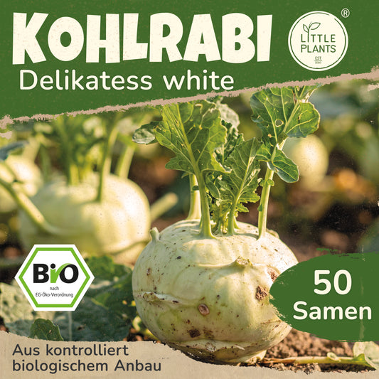 Bio-Kohlrabi (Delikatess White)