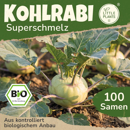 Bio-Kohlrabi (Superschmelz)