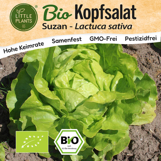 Bio-Salat (Suzan)