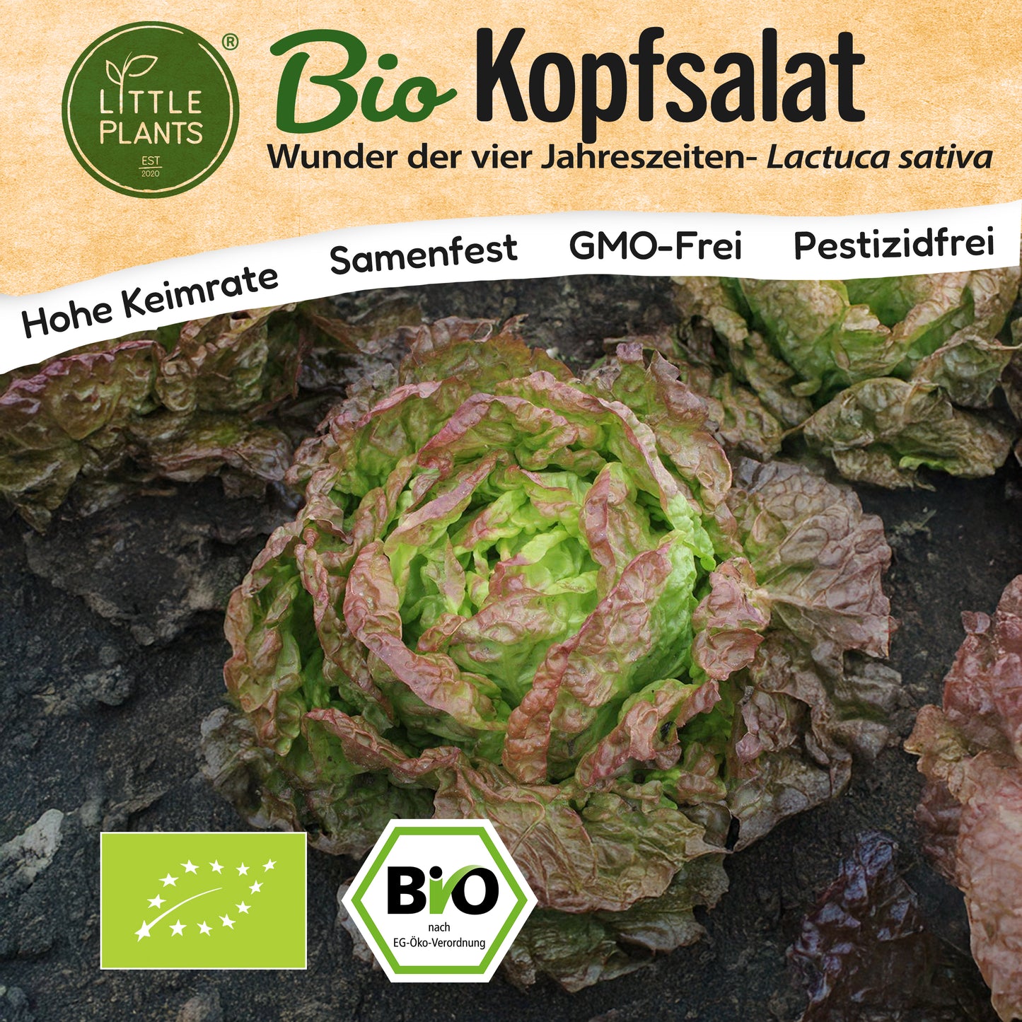 Bio-Salat (Wunder der vier Jahreszeiten)