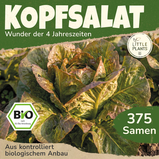 Bio-Salat (Wunder der vier Jahreszeiten)