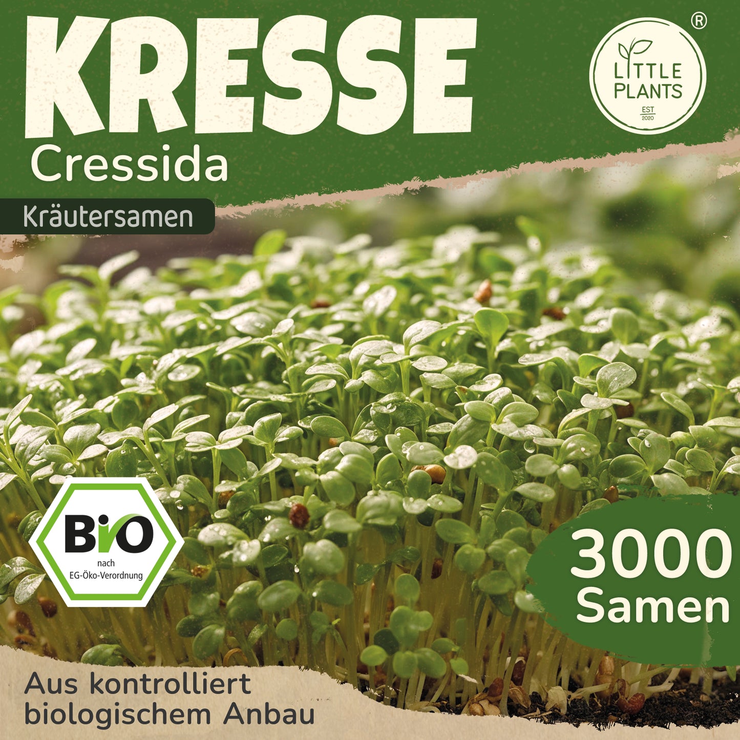 Bio-Kresse (Cressida)