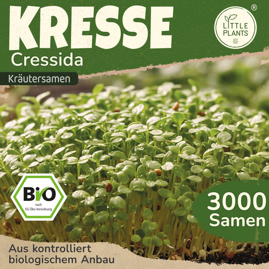 Bio-Kresse (Cressida)
